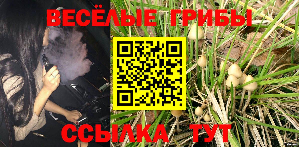 Полевской  Псилоцибиновые грибы мицелий  Вход с VPN 