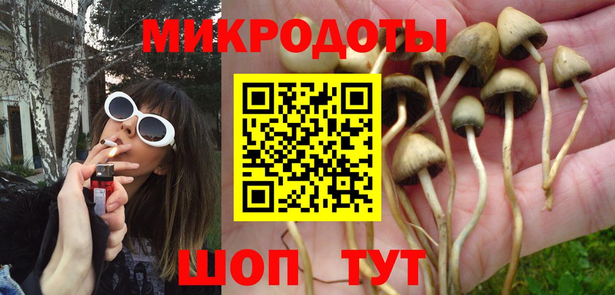 Галлюциногенные грибы GOLDEN TEACHER Полевской